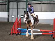 Image 42 in NEWTON HALL EQUITATION. ARENA EVENTING. 9. FEB. 2019