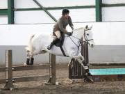 Image 83 in NEWTON HALL EQUITATION. ARENA EVENTING. 9. FEB. 2019