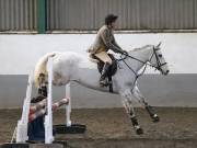 Image 85 in NEWTON HALL EQUITATION. ARENA EVENTING. 9. FEB. 2019