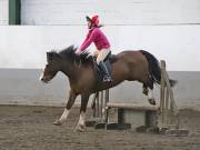 Image 9 in NEWTON HALL EQUITATION. ARENA EVENTING. 9. FEB. 2019