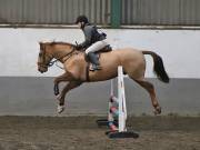 Image 92 in NEWTON HALL EQUITATION. ARENA EVENTING. 9. FEB. 2019