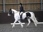 Image 10 in DRESSAGE AT WORLD HORSE WELFARE. 2ND. MARCH 2019