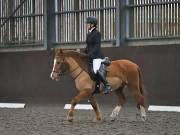 Image 101 in DRESSAGE AT WORLD HORSE WELFARE. 2ND. MARCH 2019