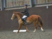 Image 102 in DRESSAGE AT WORLD HORSE WELFARE. 2ND. MARCH 2019