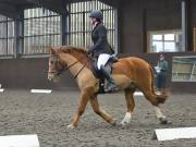 Image 103 in DRESSAGE AT WORLD HORSE WELFARE. 2ND. MARCH 2019