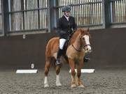 Image 106 in DRESSAGE AT WORLD HORSE WELFARE. 2ND. MARCH 2019