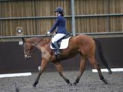 Image 119 in DRESSAGE AT WORLD HORSE WELFARE. 2ND. MARCH 2019