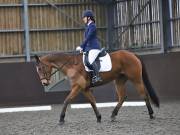 Image 120 in DRESSAGE AT WORLD HORSE WELFARE. 2ND. MARCH 2019