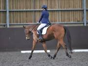 Image 124 in DRESSAGE AT WORLD HORSE WELFARE. 2ND. MARCH 2019