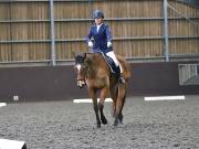 Image 127 in DRESSAGE AT WORLD HORSE WELFARE. 2ND. MARCH 2019