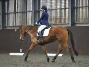 Image 128 in DRESSAGE AT WORLD HORSE WELFARE. 2ND. MARCH 2019