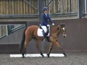 Image 130 in DRESSAGE AT WORLD HORSE WELFARE. 2ND. MARCH 2019