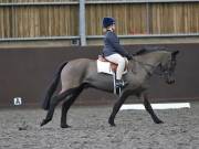 Image 137 in DRESSAGE AT WORLD HORSE WELFARE. 2ND. MARCH 2019