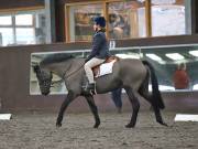 Image 142 in DRESSAGE AT WORLD HORSE WELFARE. 2ND. MARCH 2019