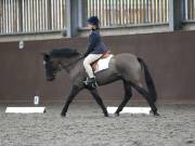 Image 144 in DRESSAGE AT WORLD HORSE WELFARE. 2ND. MARCH 2019