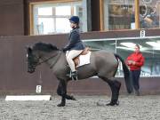 Image 147 in DRESSAGE AT WORLD HORSE WELFARE. 2ND. MARCH 2019