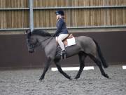 Image 148 in DRESSAGE AT WORLD HORSE WELFARE. 2ND. MARCH 2019