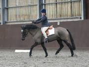 Image 153 in DRESSAGE AT WORLD HORSE WELFARE. 2ND. MARCH 2019