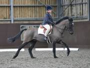 Image 158 in DRESSAGE AT WORLD HORSE WELFARE. 2ND. MARCH 2019