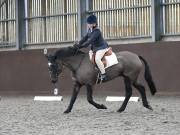 Image 159 in DRESSAGE AT WORLD HORSE WELFARE. 2ND. MARCH 2019