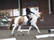 Image 165 in DRESSAGE AT WORLD HORSE WELFARE. 2ND. MARCH 2019