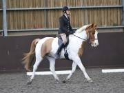Image 166 in DRESSAGE AT WORLD HORSE WELFARE. 2ND. MARCH 2019