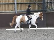 Image 168 in DRESSAGE AT WORLD HORSE WELFARE. 2ND. MARCH 2019