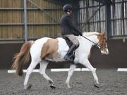 Image 170 in DRESSAGE AT WORLD HORSE WELFARE. 2ND. MARCH 2019