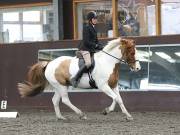 Image 172 in DRESSAGE AT WORLD HORSE WELFARE. 2ND. MARCH 2019