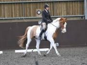 Image 176 in DRESSAGE AT WORLD HORSE WELFARE. 2ND. MARCH 2019