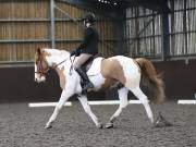 Image 177 in DRESSAGE AT WORLD HORSE WELFARE. 2ND. MARCH 2019