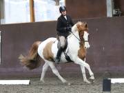 Image 179 in DRESSAGE AT WORLD HORSE WELFARE. 2ND. MARCH 2019