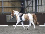 Image 181 in DRESSAGE AT WORLD HORSE WELFARE. 2ND. MARCH 2019