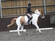 Image 184 in DRESSAGE AT WORLD HORSE WELFARE. 2ND. MARCH 2019