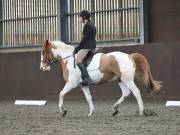 Image 186 in DRESSAGE AT WORLD HORSE WELFARE. 2ND. MARCH 2019