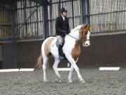 Image 187 in DRESSAGE AT WORLD HORSE WELFARE. 2ND. MARCH 2019