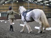 Image 213 in DRESSAGE AT WORLD HORSE WELFARE. 2ND. MARCH 2019