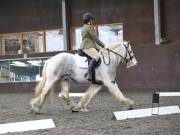 Image 217 in DRESSAGE AT WORLD HORSE WELFARE. 2ND. MARCH 2019