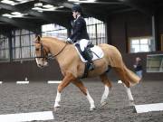 Image 232 in DRESSAGE AT WORLD HORSE WELFARE. 2ND. MARCH 2019