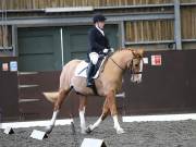 Image 239 in DRESSAGE AT WORLD HORSE WELFARE. 2ND. MARCH 2019