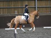 Image 243 in DRESSAGE AT WORLD HORSE WELFARE. 2ND. MARCH 2019
