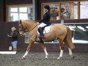 Image 245 in DRESSAGE AT WORLD HORSE WELFARE. 2ND. MARCH 2019