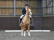 Image 248 in DRESSAGE AT WORLD HORSE WELFARE. 2ND. MARCH 2019