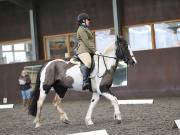 Image 254 in DRESSAGE AT WORLD HORSE WELFARE. 2ND. MARCH 2019