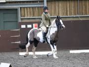 Image 256 in DRESSAGE AT WORLD HORSE WELFARE. 2ND. MARCH 2019