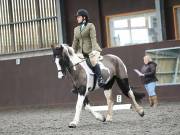 Image 260 in DRESSAGE AT WORLD HORSE WELFARE. 2ND. MARCH 2019