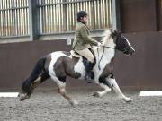 Image 263 in DRESSAGE AT WORLD HORSE WELFARE. 2ND. MARCH 2019