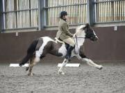 Image 265 in DRESSAGE AT WORLD HORSE WELFARE. 2ND. MARCH 2019