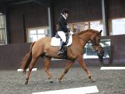 Image 29 in DRESSAGE AT WORLD HORSE WELFARE. 2ND. MARCH 2019