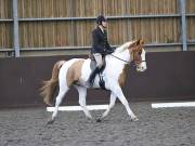 Image 32 in DRESSAGE AT WORLD HORSE WELFARE. 2ND. MARCH 2019